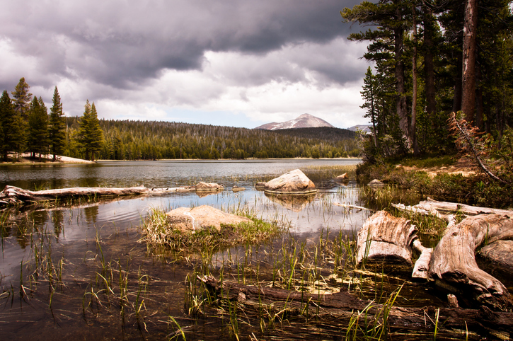 oregon camping