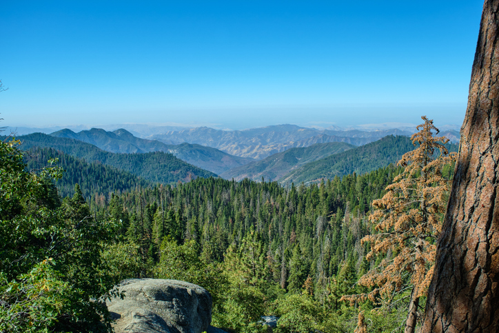 sequoia national park